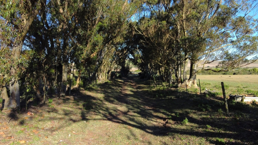 Commercial Property for Sale in Mossel Bay Rural Western Cape